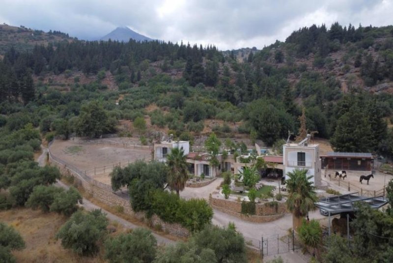 Pemonia Kreta, Pemonia: Ruhiges und weitläufiges Anwesen zu verkaufen Haus kaufen